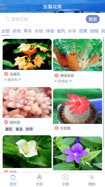 东篱花草